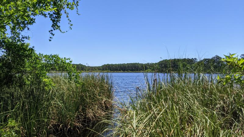 Corn Landing Lake at the Bluffs of St. Teresa